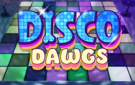 Disco Dawgs